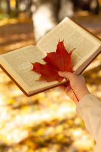 sebuah tangan memegang buku dan diatas buku ada daun berwarna merah